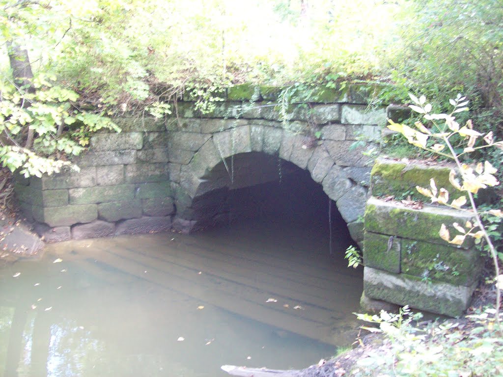 The Plum Creek Aquaduct