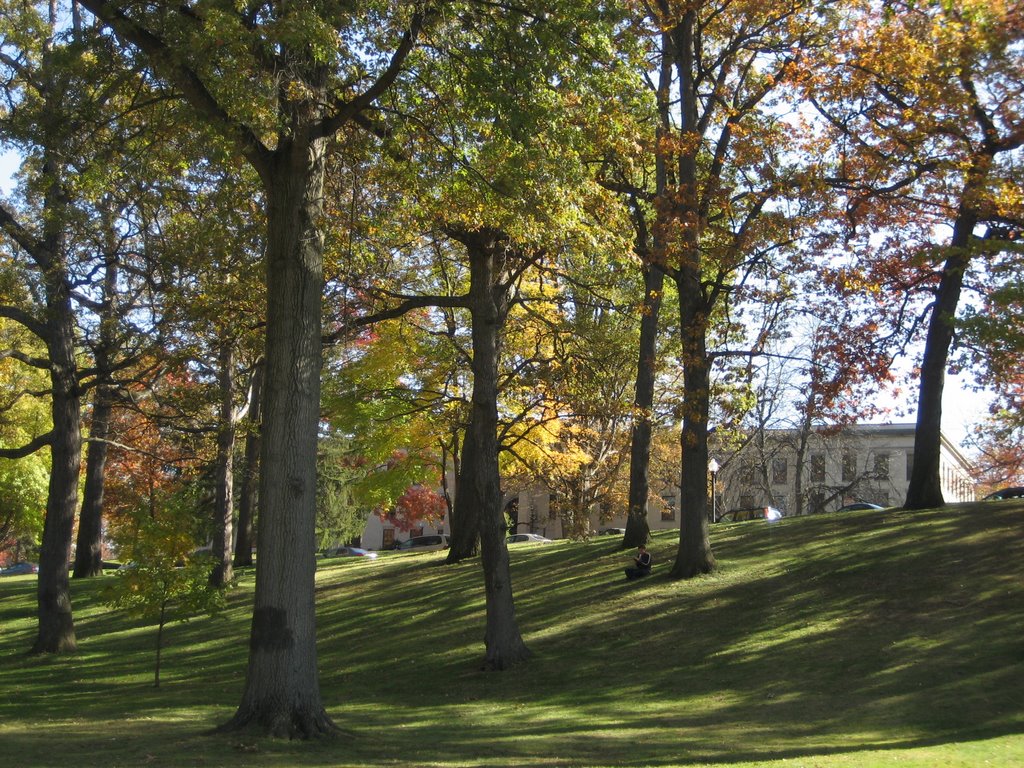 Fall at KSU