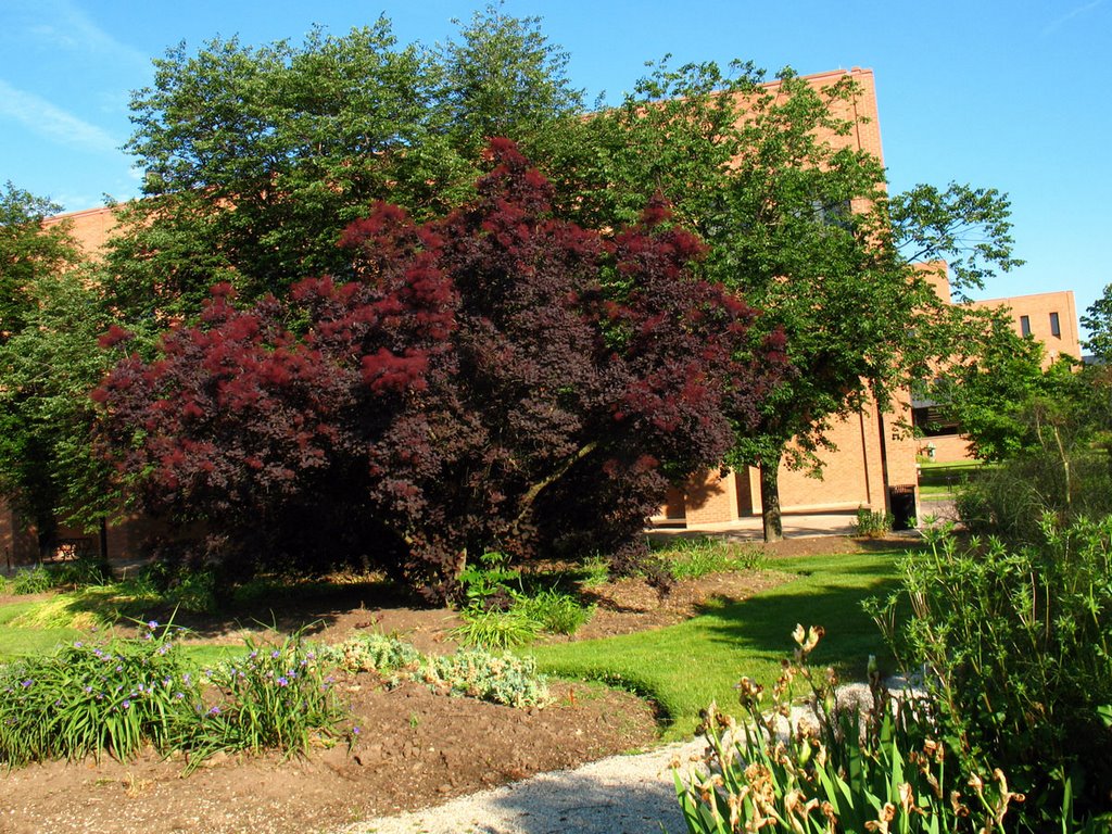 Kent State University