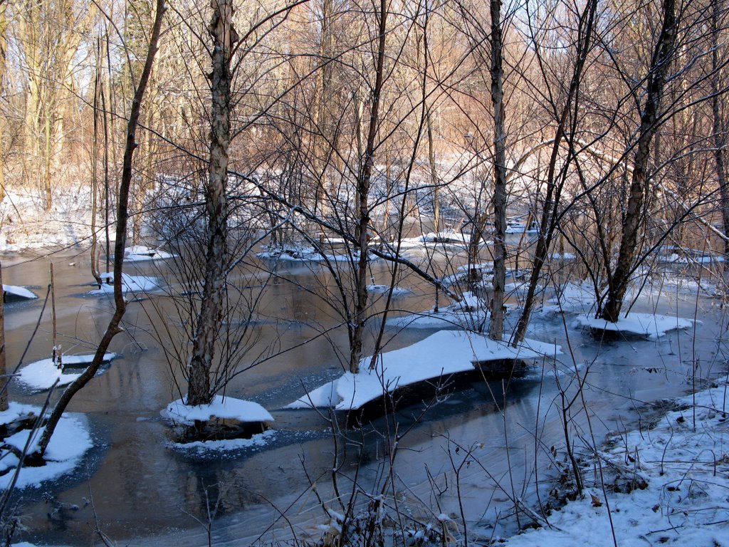 Ice After High Water