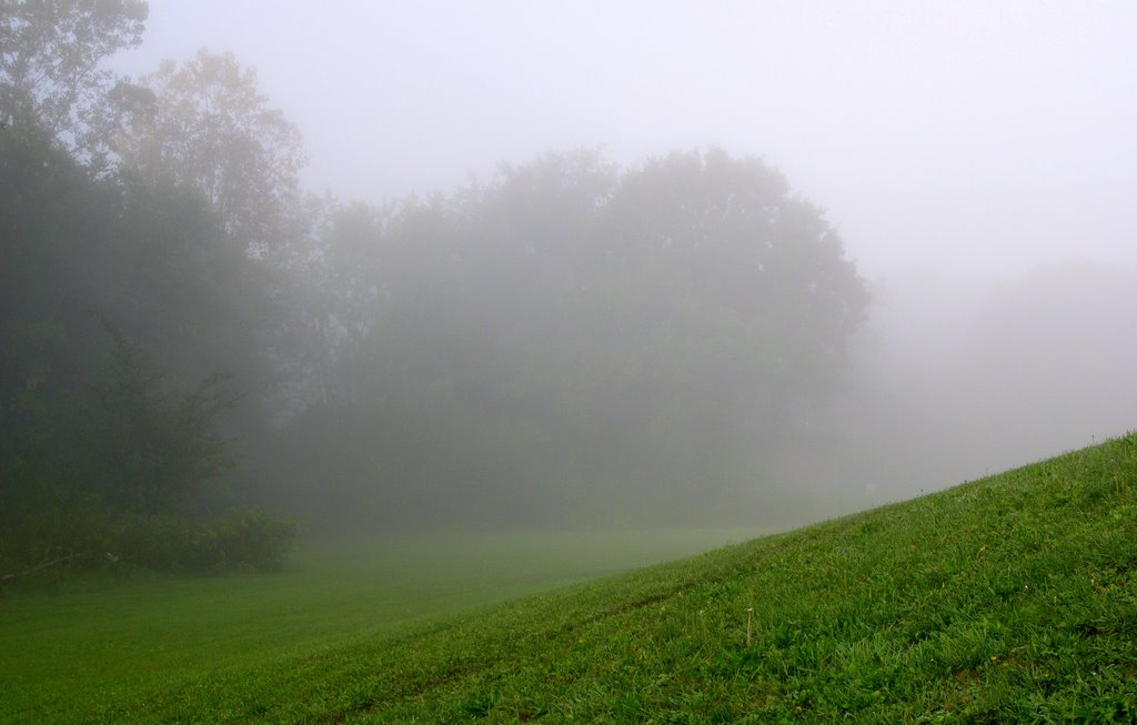 A Morning in River Bend Park