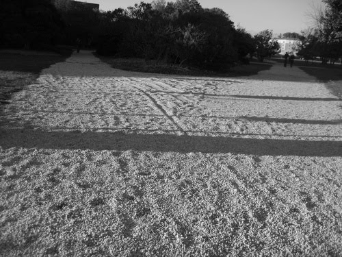 Paths