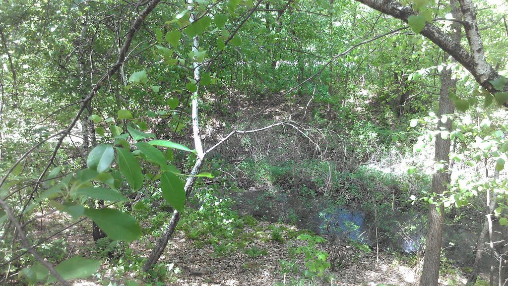 Remnants of the Pennsylvania & Ohio Canal
