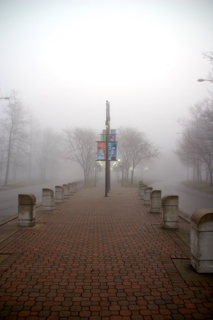 Lincoln Park Fog 2