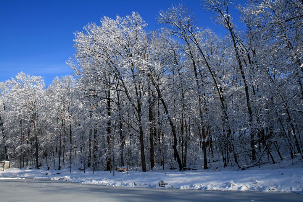 Hills and Dales MetroPark in Winter