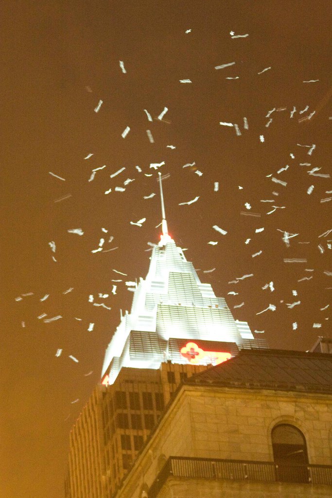 Gulls Attracted to the Light
