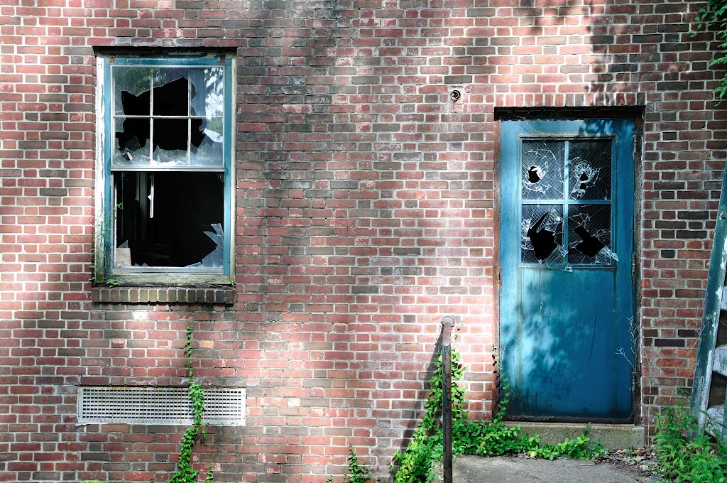 Observatory Door & Window