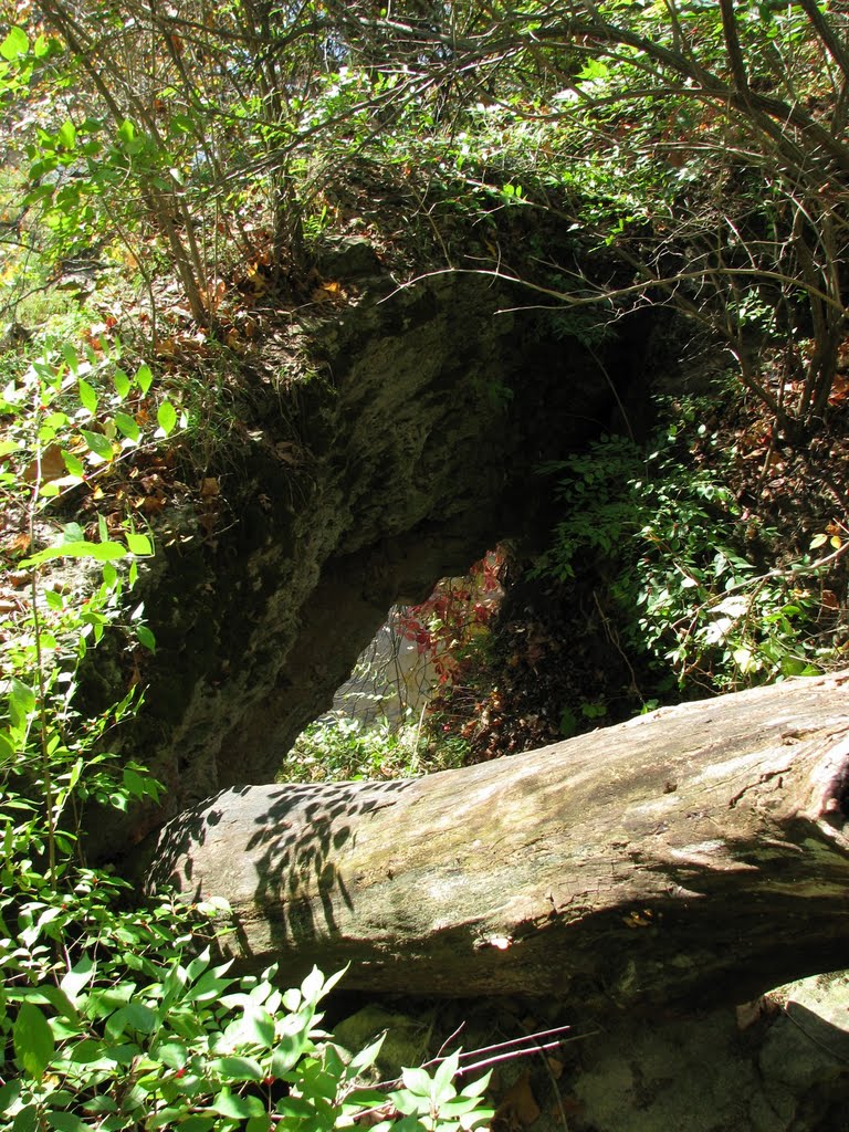 Greenville Falls Natural Arch