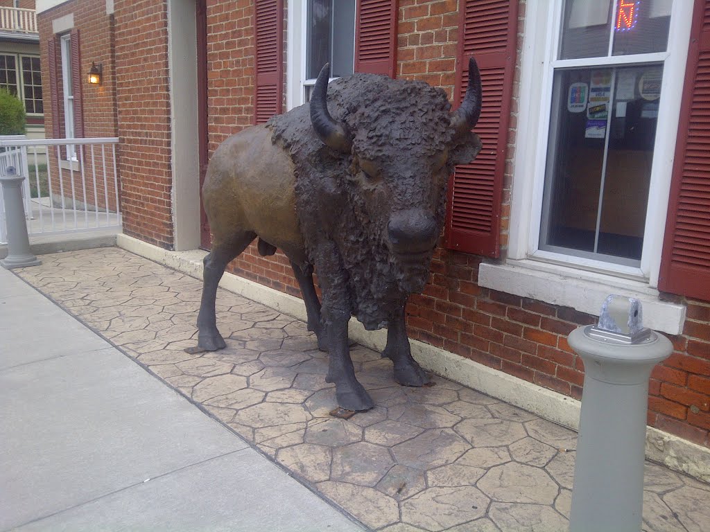 2012, Covington, OH - Buffalo Jacks