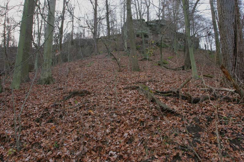 Trail up Mt. Pleasant