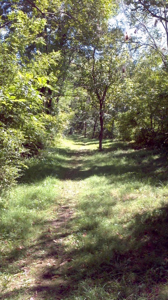 single trail around small pond