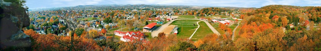 View from Mt Pleasent