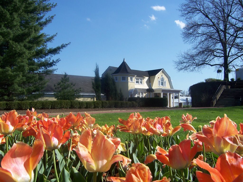 Oglebay Park