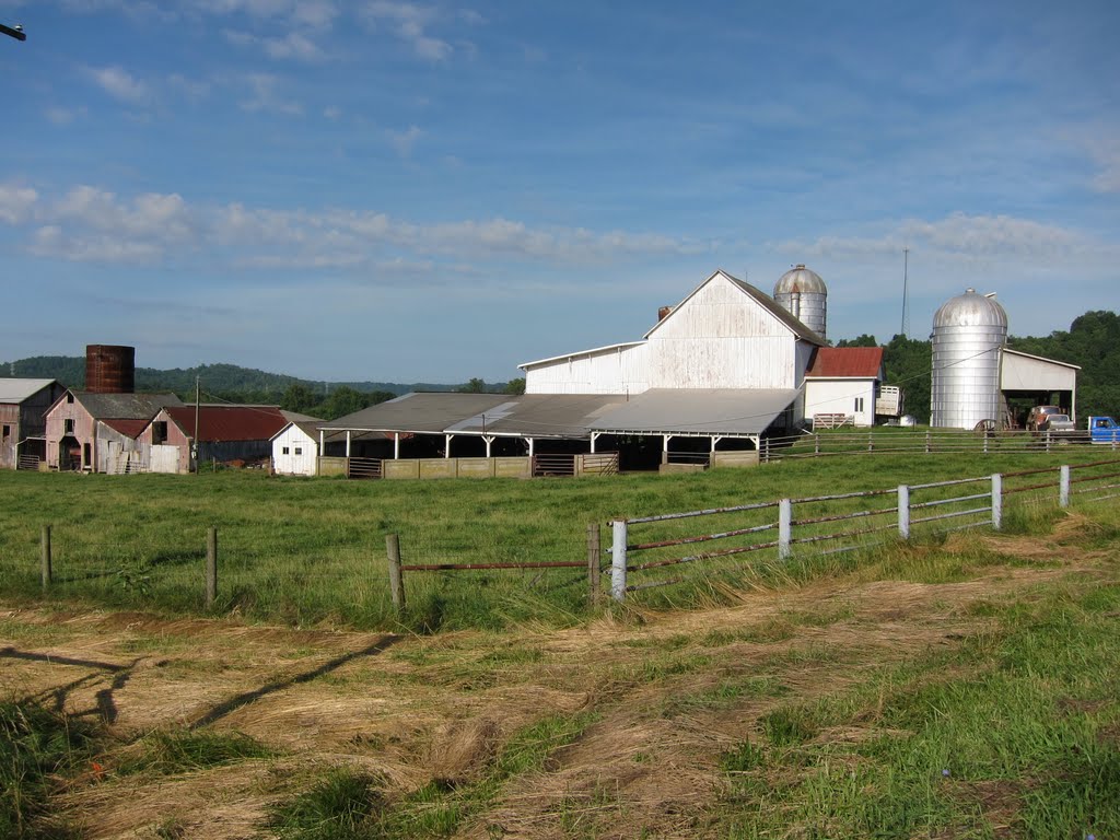 Working Farm above Power Plant