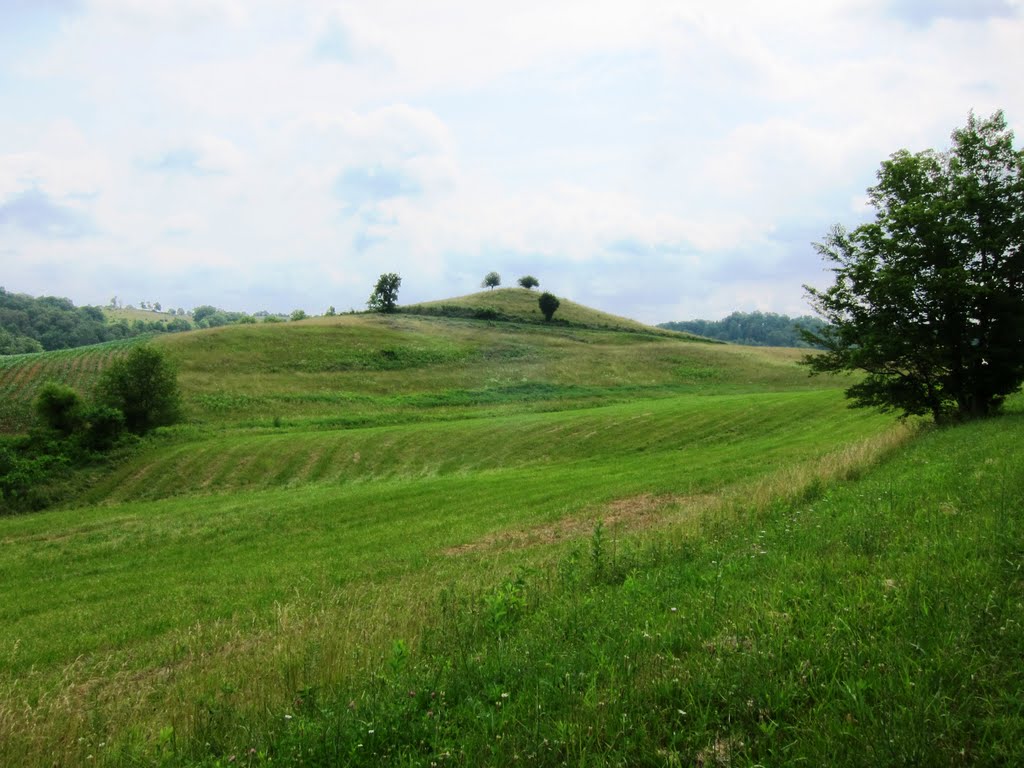 Indian Mound?