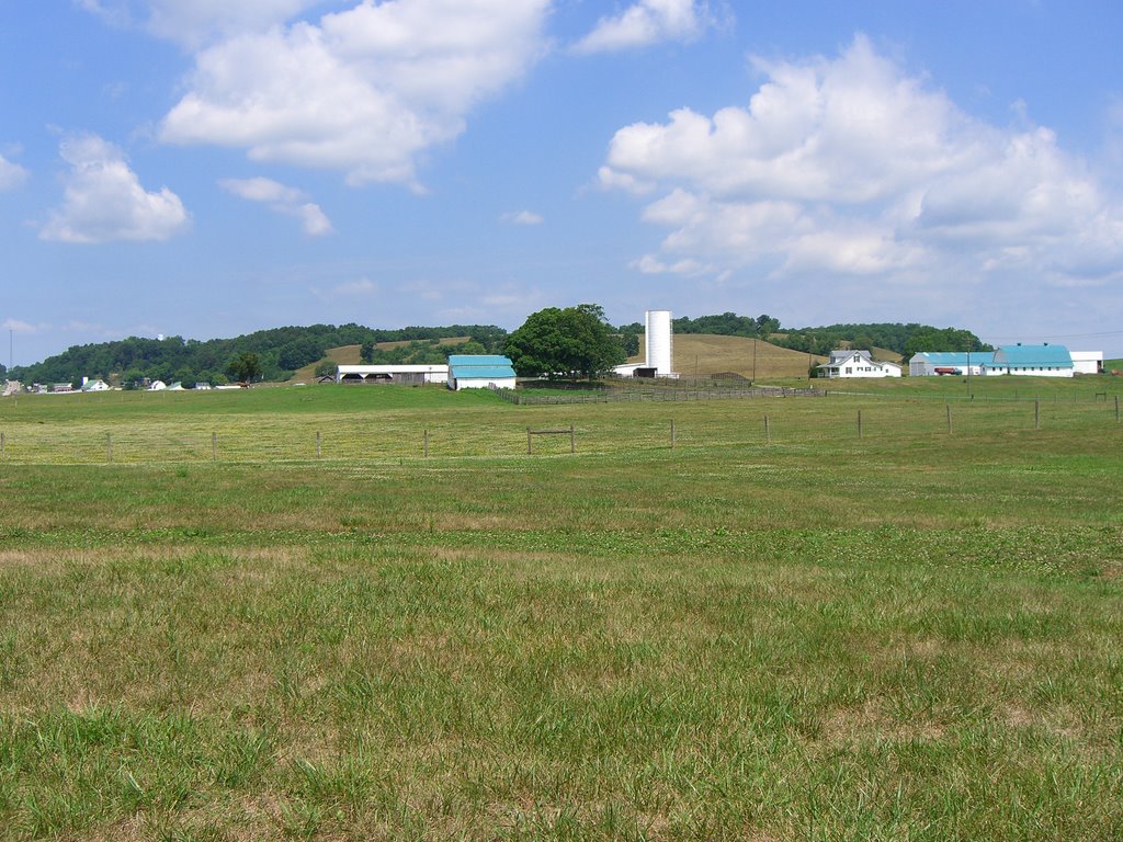 Gallipolis