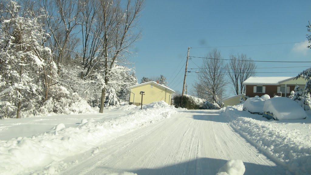 A Winters Day