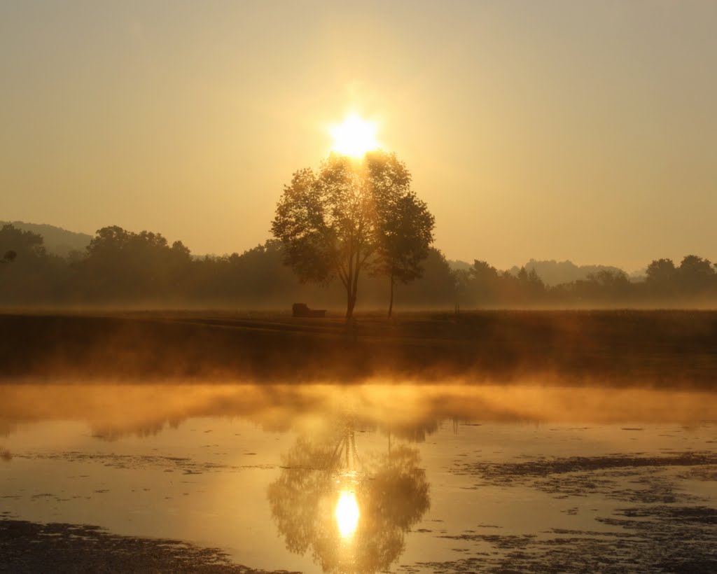 Star of David Sunrise