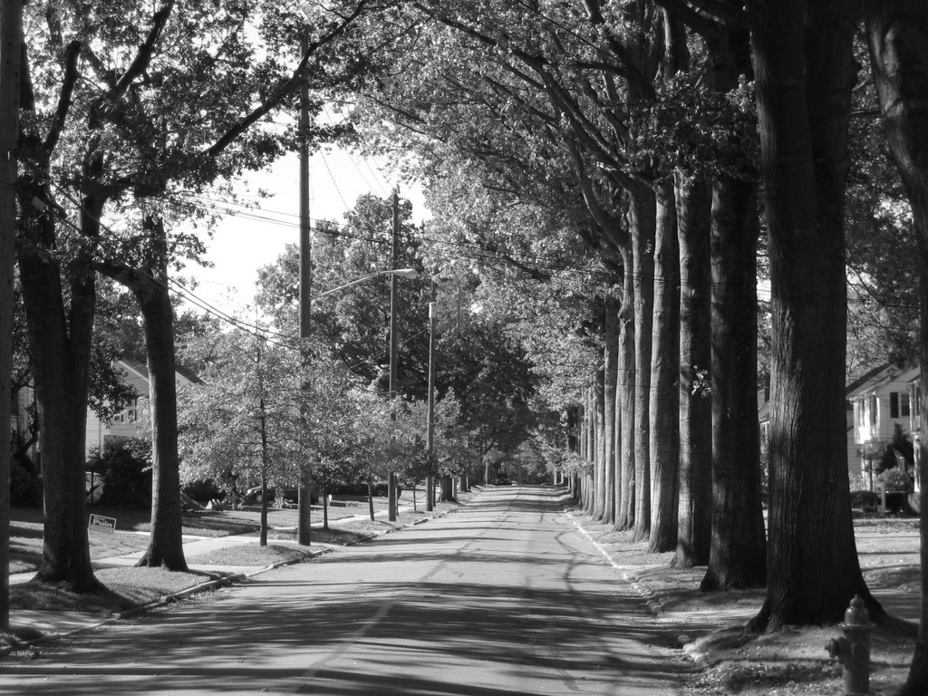 Mayview Road