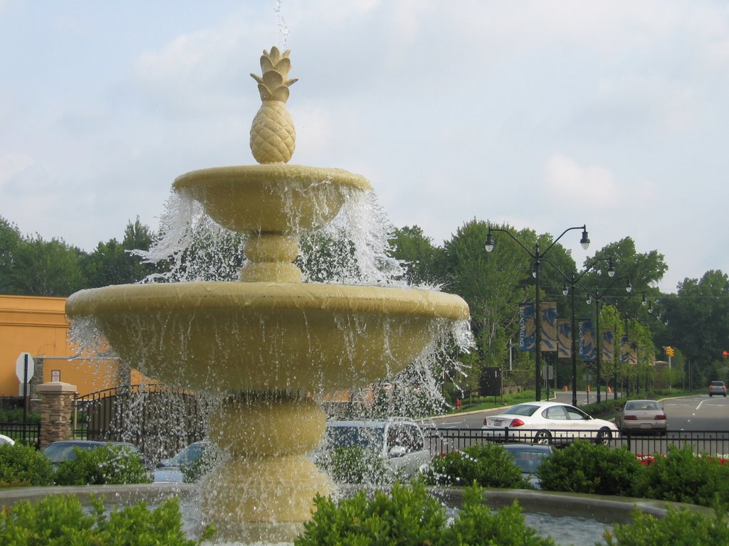 The Fountain at the Legacy Village