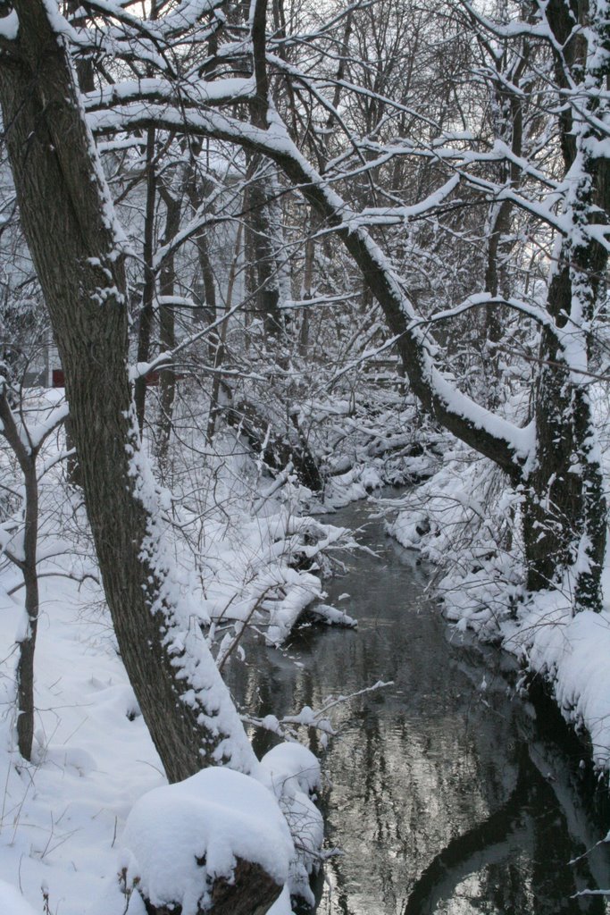 Big Creek Tributary