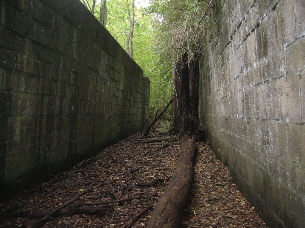 Lock 6 South on the Miami & Erie Canal
