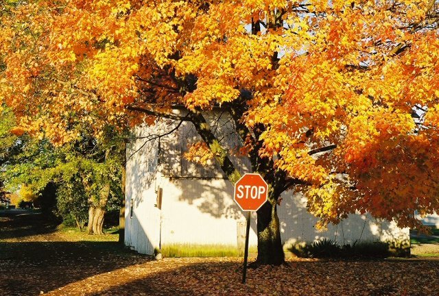 Loudonville Ohio Fall