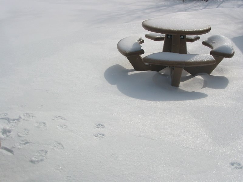 Snowy Table
