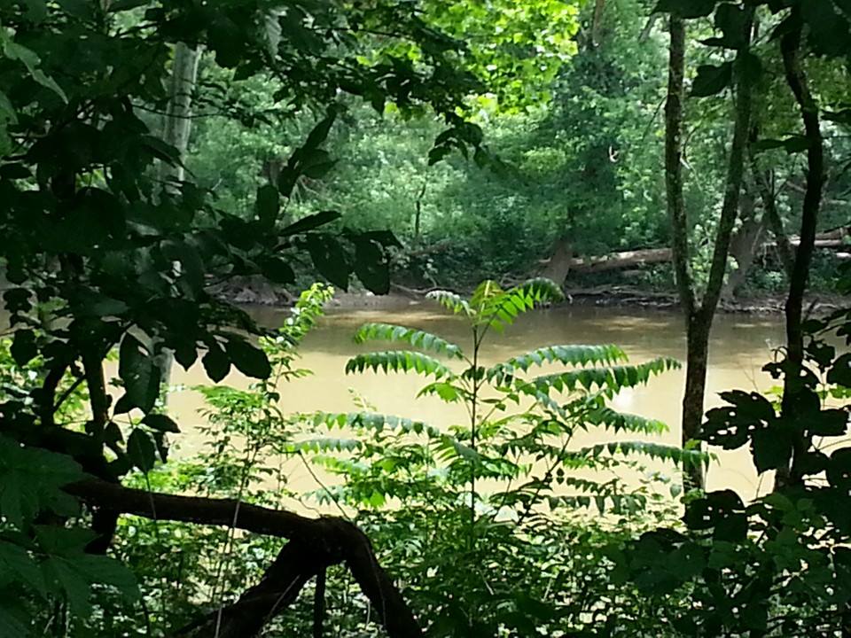 Little Miami Scenic Trail