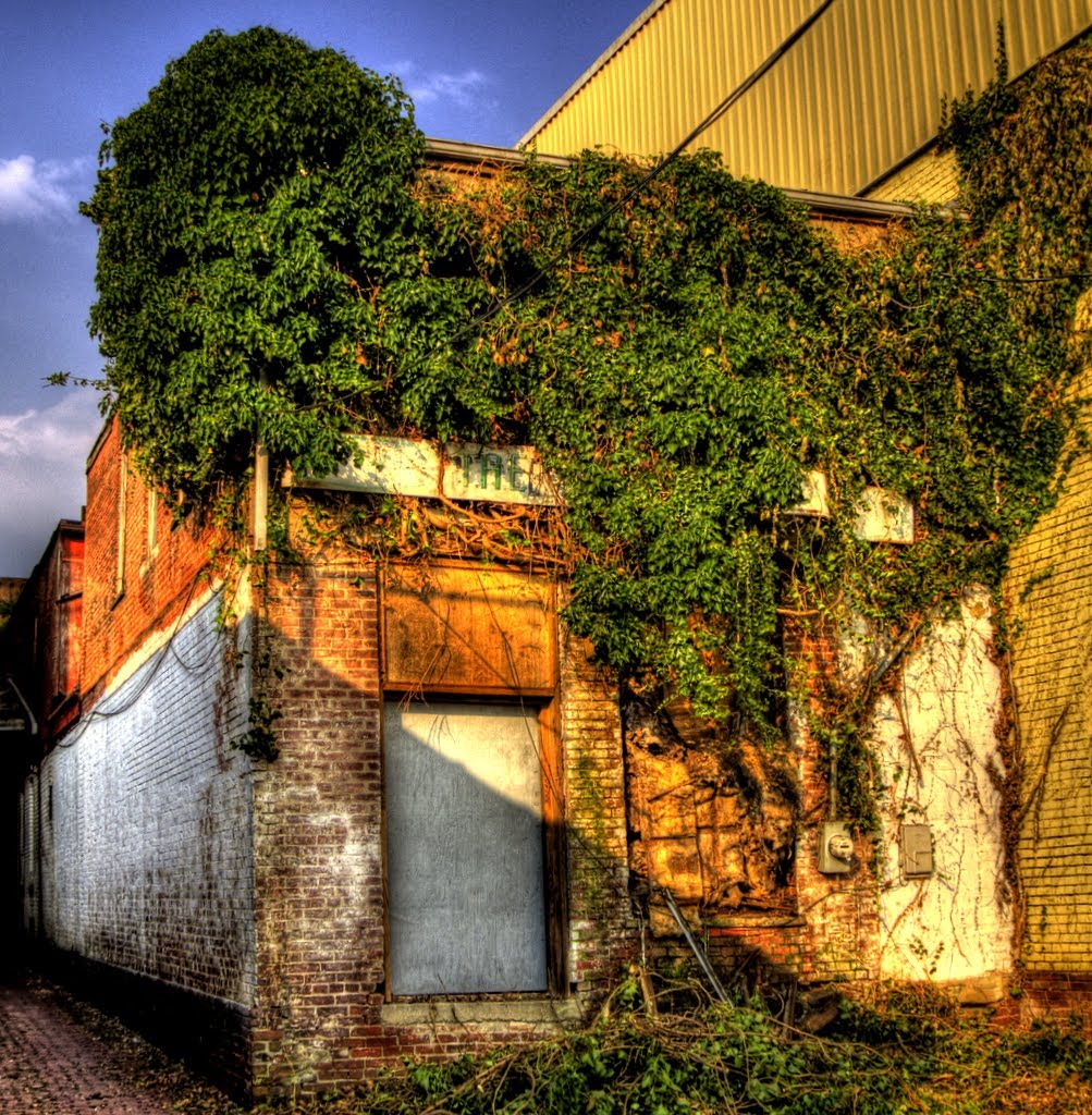 Alley Growth