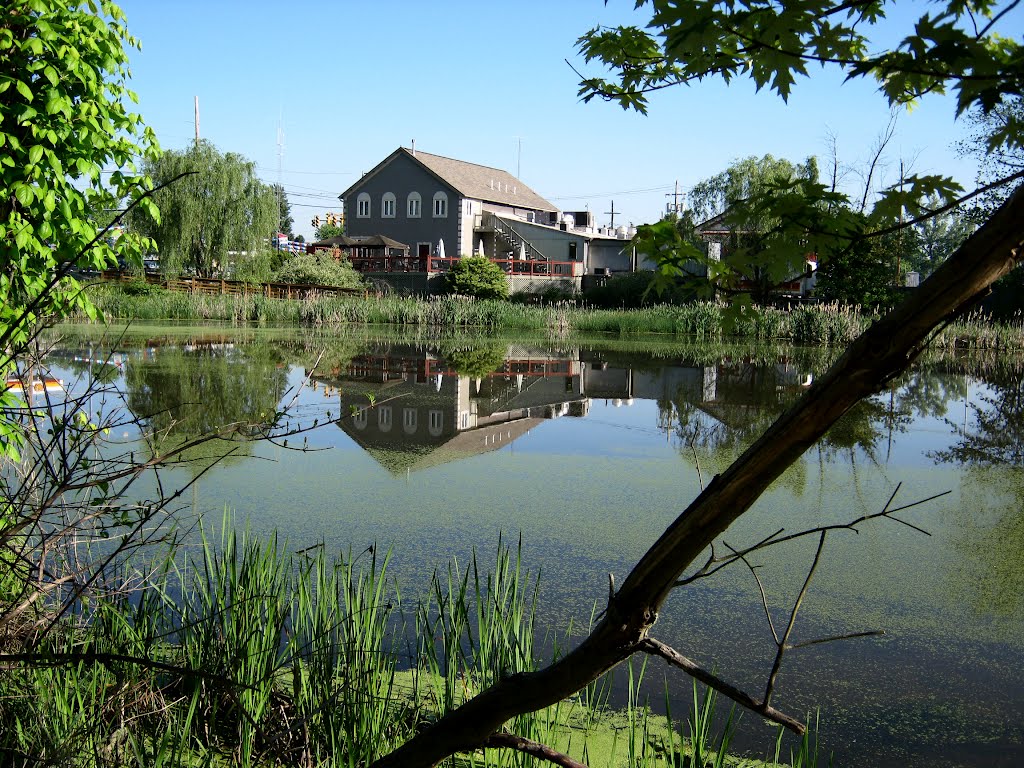 Williamstown Wet Lands