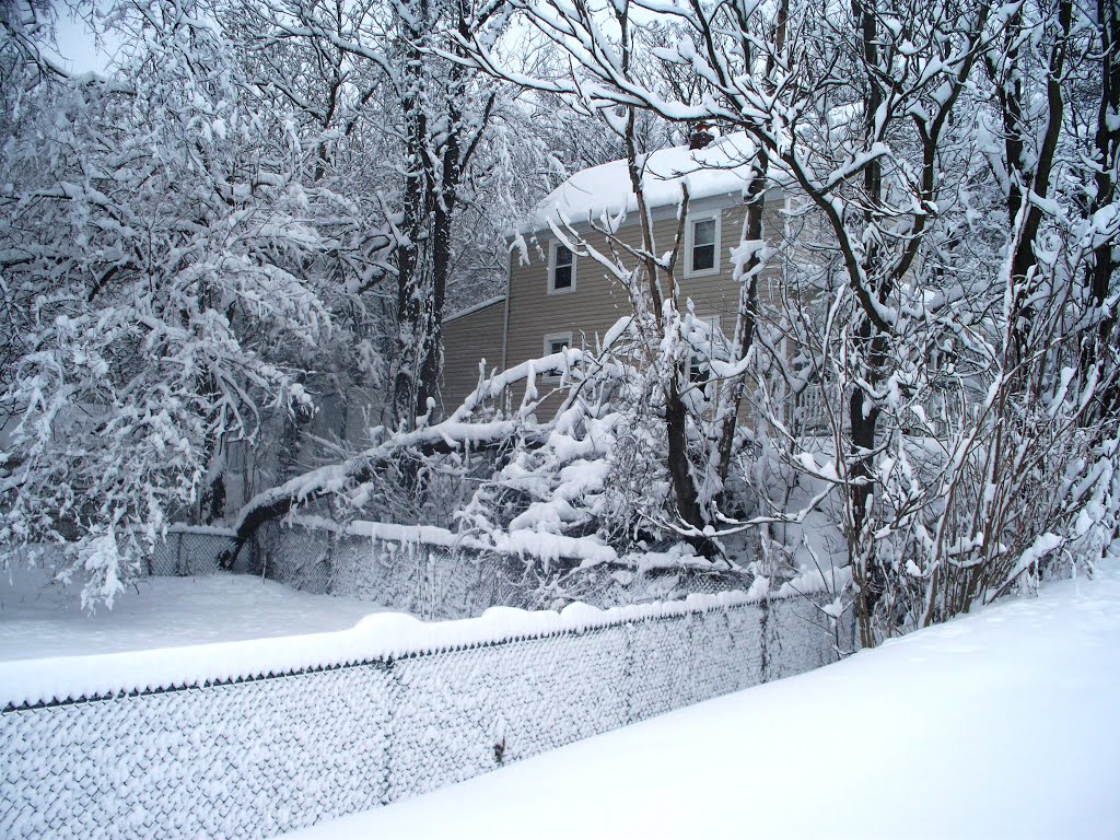 After the storm
