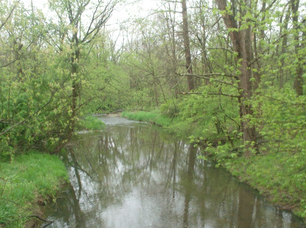 Creek 1
