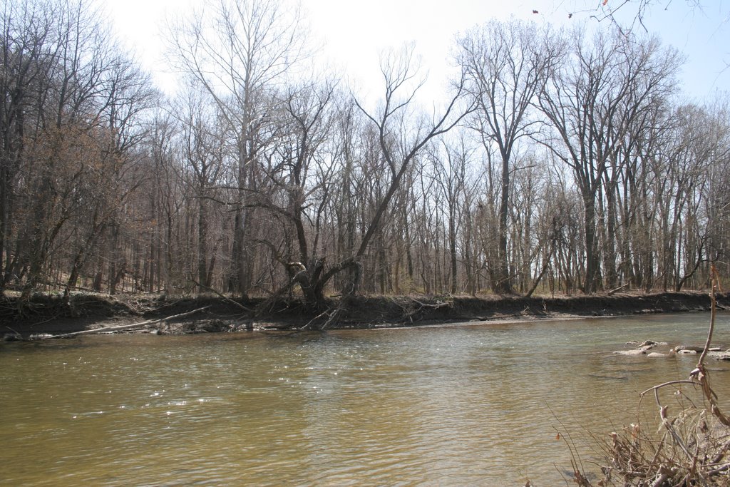 Chagrin River- Early Spring