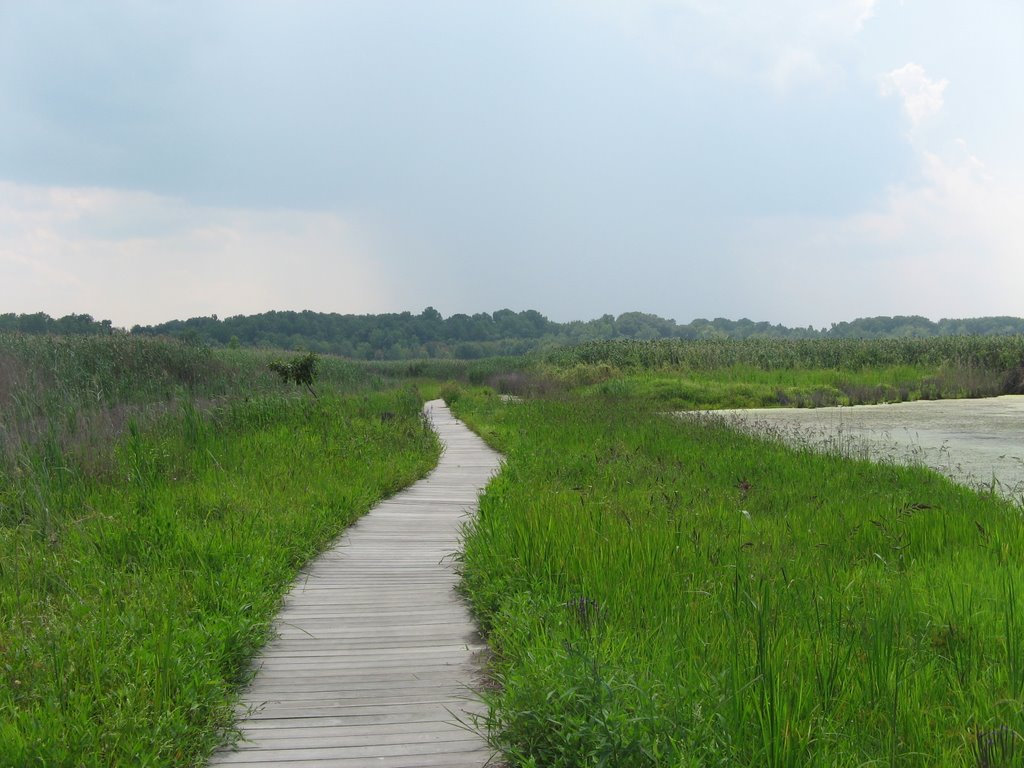 Wake Robin trail, Mentor Marsh, Mentor, Ohio