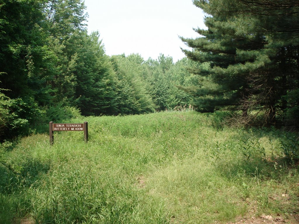 Mentor Marsh 1