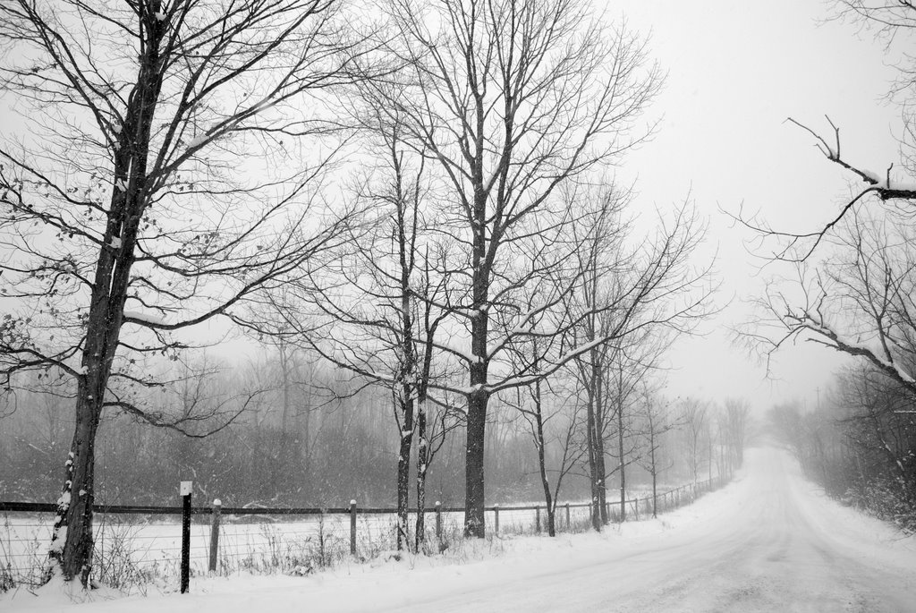 Hermitage Road