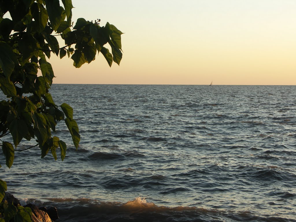 Mentor Beach  Park