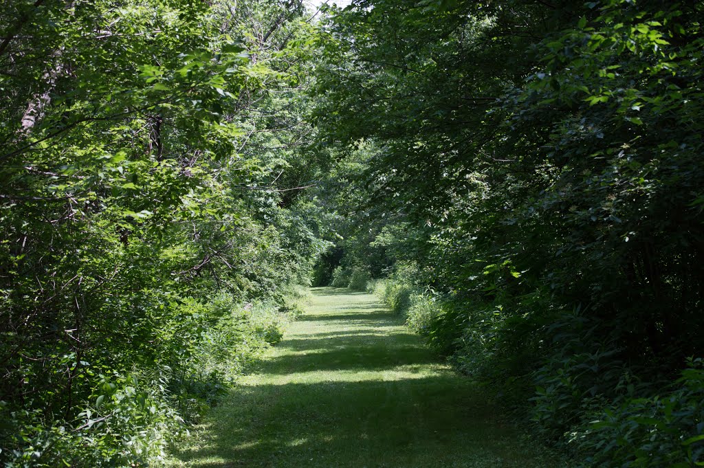 Trail along the Huron River in Milan Ohio