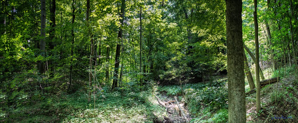 Monroeville