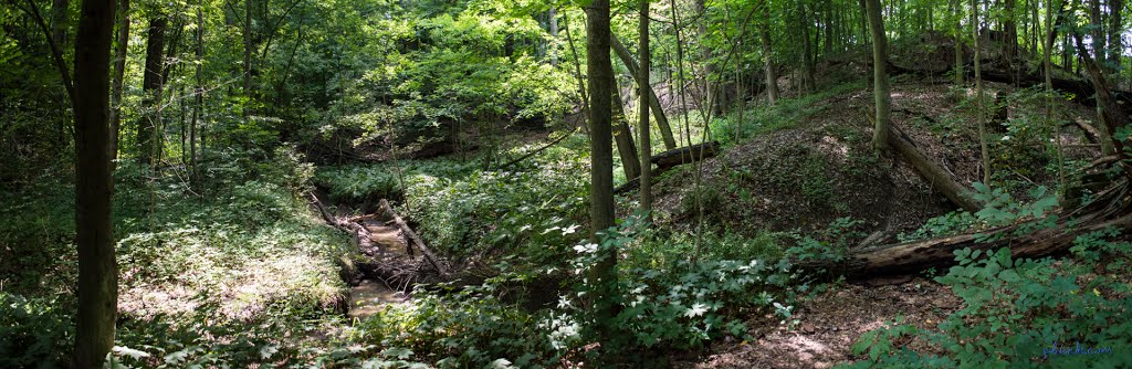 Galpin Wildlife Trail