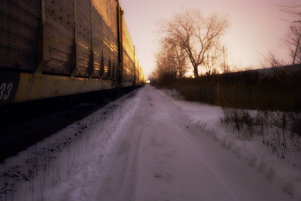 The road less traveled