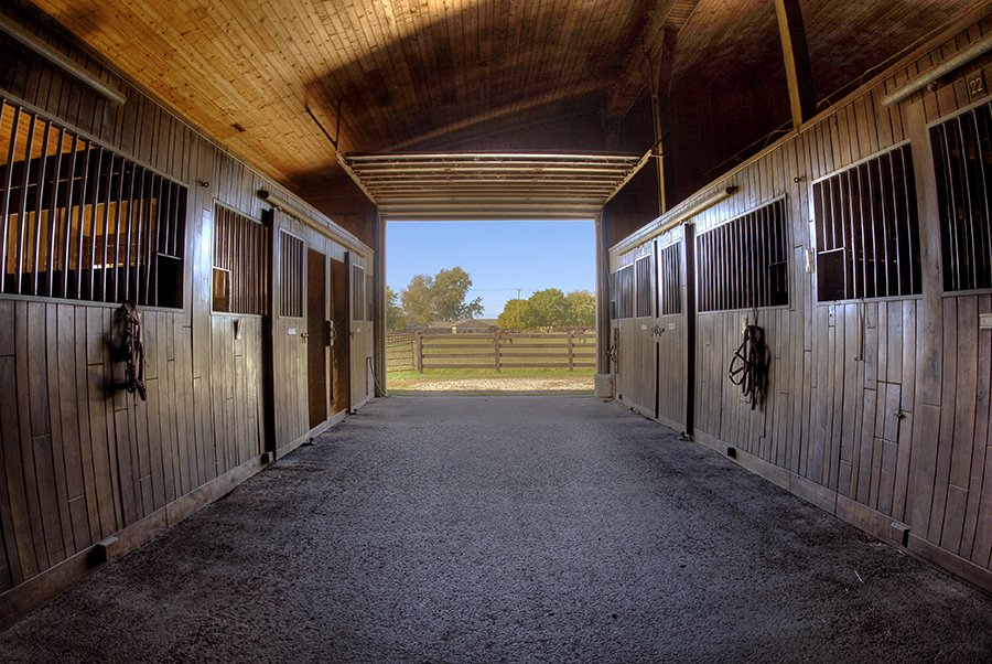 Arabian Farms Barn Interior