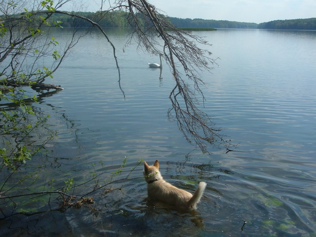 mogadore reservoir