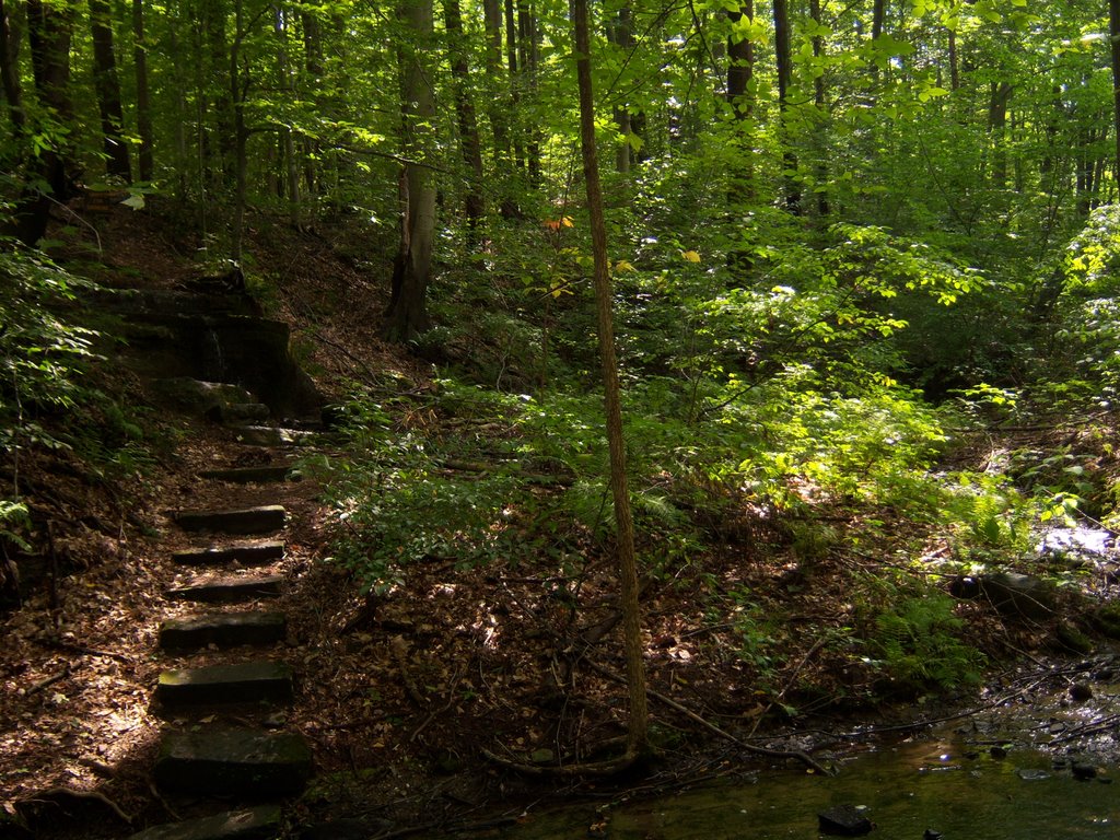 Indian Spring at Munroe Falls Metro Park