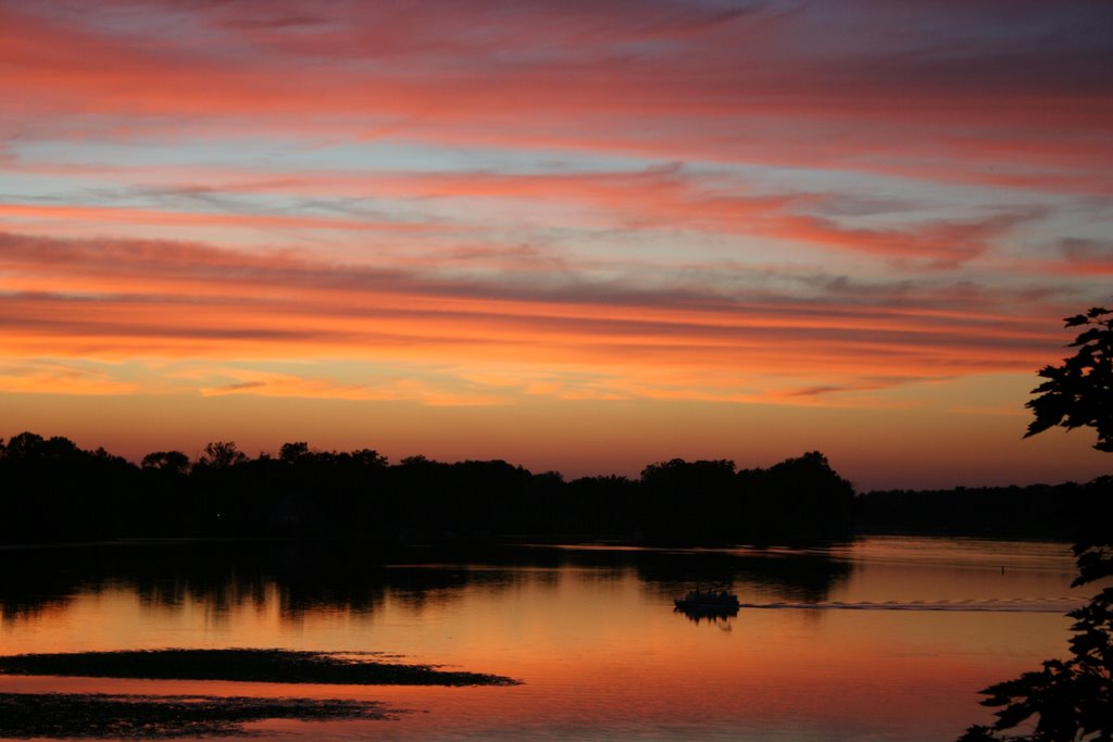 the glow of the night...