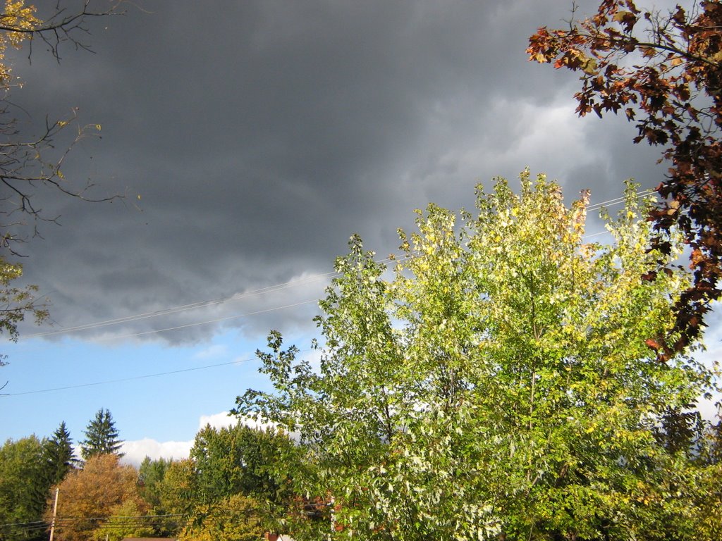 Ohios Variety Weather