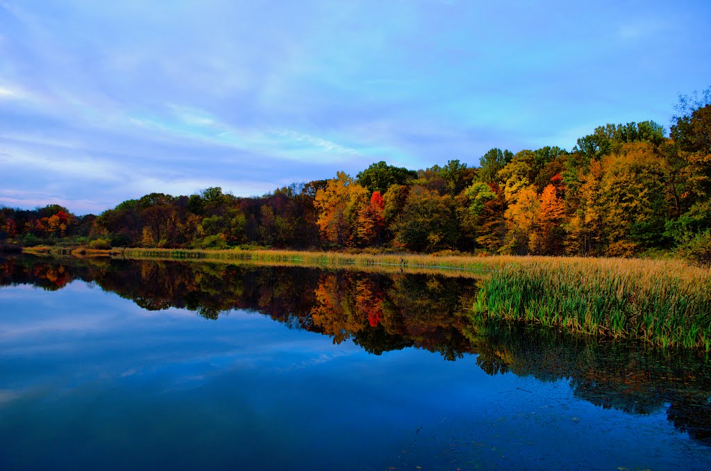 Reflecting Pool