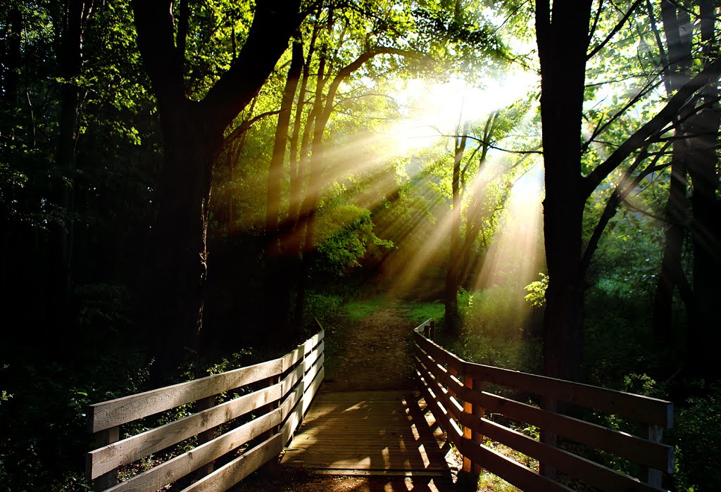 Tallmadge Meadows Woods Trail