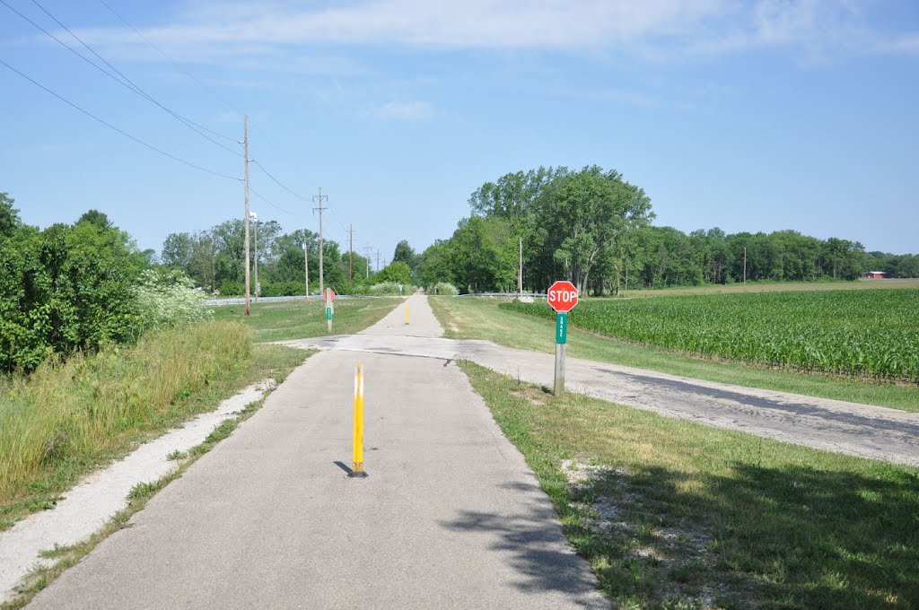 Wolf Creek Bike Trail - Snake Road